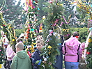 Niedziela Palmowa (28.03.2010)